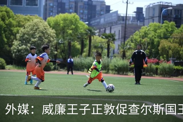 外媒：威廉王子正敦促查尔斯国王剥夺哈里和梅根的苏塞克斯头衔！