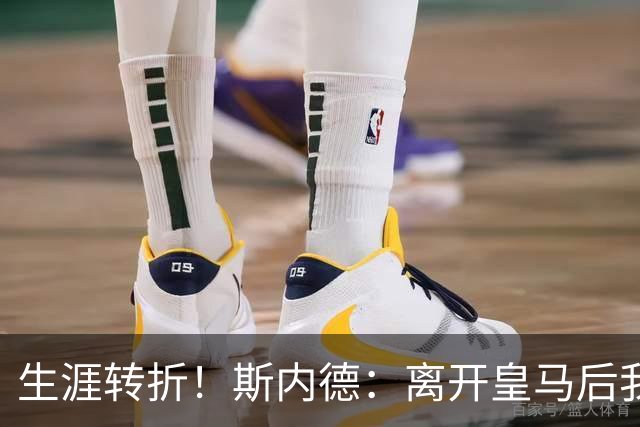 生涯转折！斯内德：离开皇马后我在国米赢得了一切，命运皆有定数