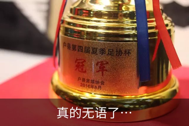 真的无语了…